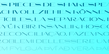 Larga Sans High Font Poster 3